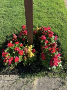 Yard of the Month - July 2023