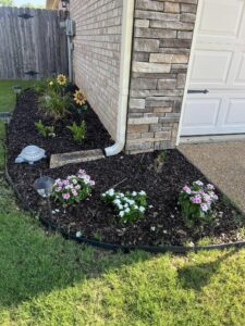 Yard of the Month - July 2023