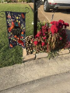 Yard of the Month - October 2023